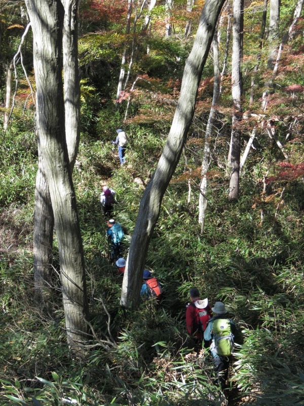 奥久慈・男体山